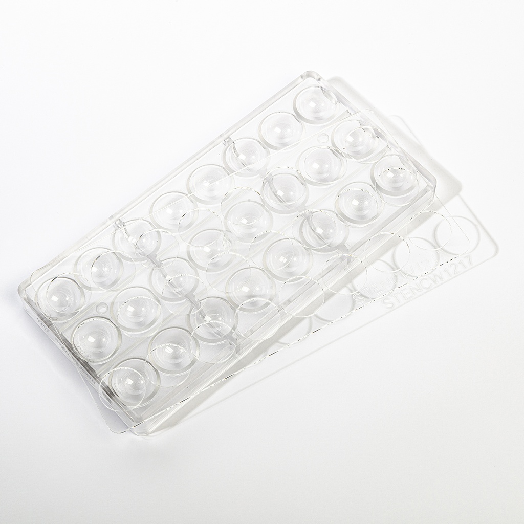 [STENCW1217] Chablon pour moule à chocolat CW1217