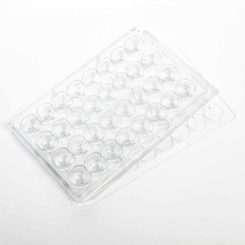 [STENCW2295] Plantilla para el molde de chocolate CW2295