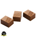 Chocolate mould praline rectangle cocoa logo